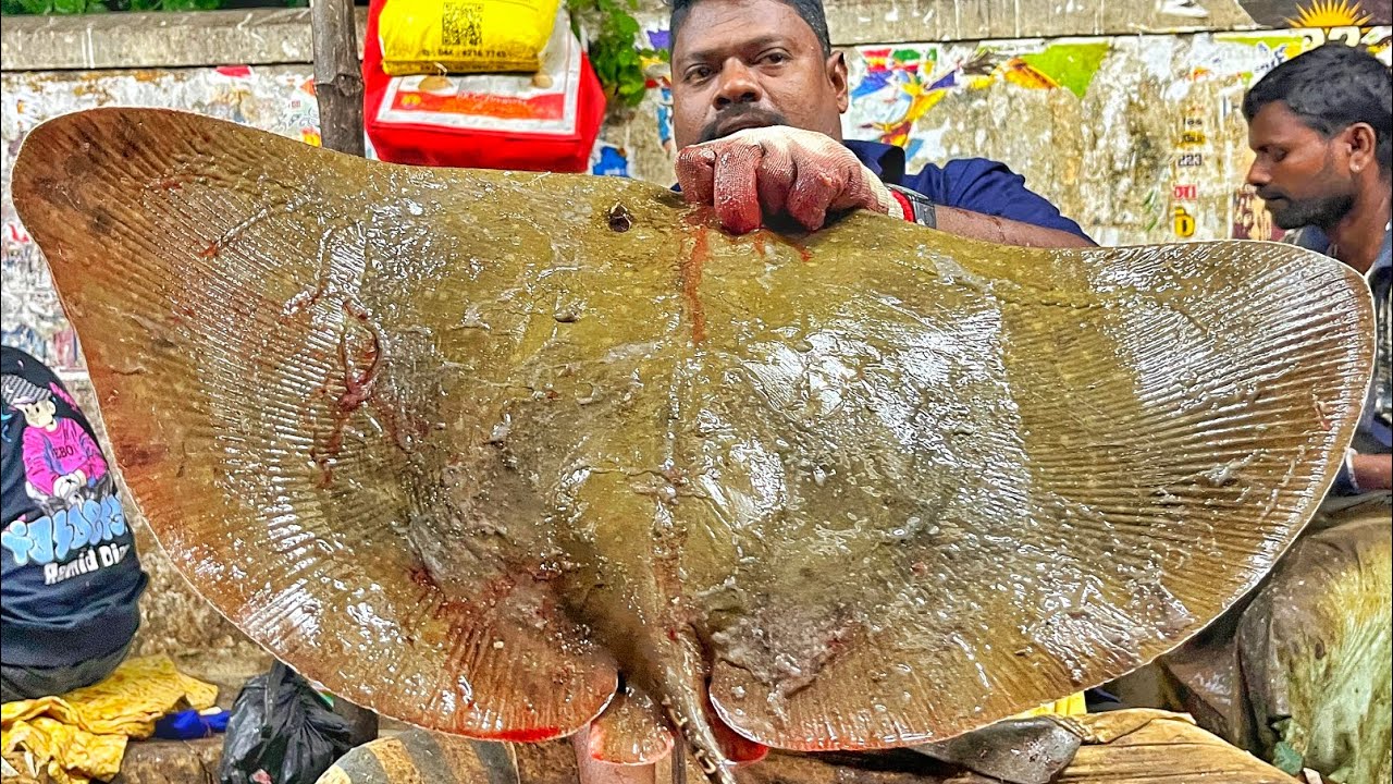 KASIMEDU SPEED SELVAM | HUGE BUTTERFLY RAY FISH CUTTING VIDEO | 4K VIDEO | KM FISH CUTTING 
