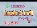 Lawin Alert! Bird of Prey nakasalubong ng mga alaga ko sa Carmona, Cavite | October 28, 2020