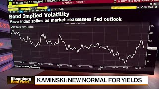 Real Yields Are 'Very Attractive,' Says Janus Kerschner by Bloomberg Television 547 views 12 hours ago 56 seconds