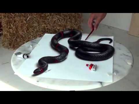 3D snake drawing Pictu...