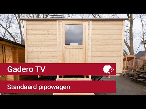 Gadero TV: Onze