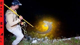 SPEAR FISHING EXOTICS From LAND At NIGHT! SPEAR FISHING EXOTICS From LAND At NIGHT!