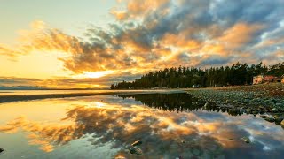 4K Golden Sunrise - Relaxing Sea Ocean Waves Sounds - Nature Relaxation Video -  NO MUSIC