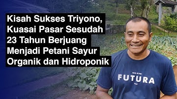 Kisah Sukses Triyono, Kuasai Pasar Sesudah 23 Tahun Berjuang Jadi Petani Sayur Organik & Hidroponik