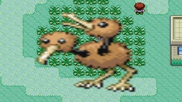 How to find Doduo in Pokemon Ruby and Sapphire
