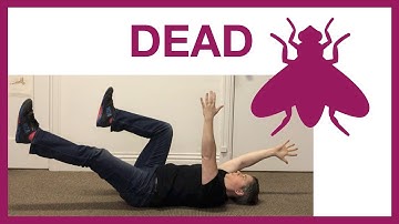 Deadbug variations and regressions - core and corrective exercise