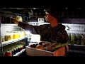 Earthbag Root Cellar | Storing a Year's Worth of Food