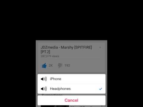 Jdz media marshy