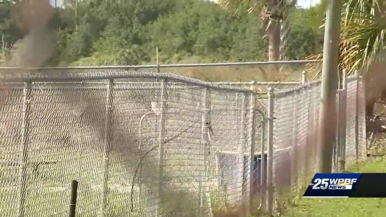 SHELTER VOLUNTEER KILLED BY DOG - YouTube