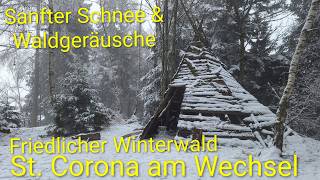 Magischer Winterwald in St Corona am Wechsel ❄️🌲