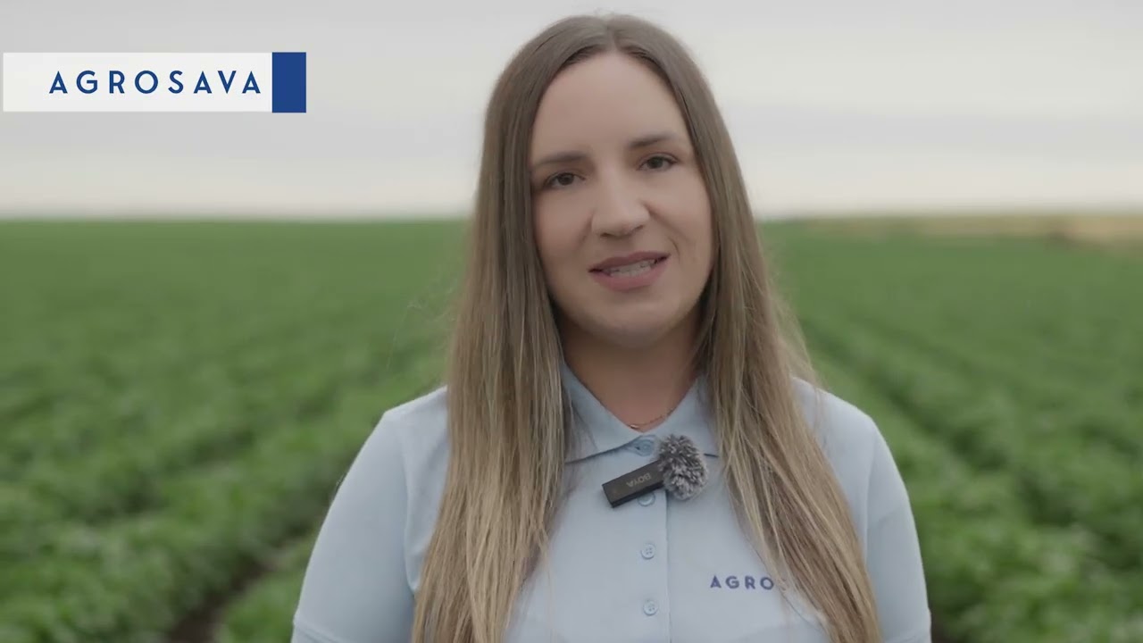 Jovana Bajčić - Zaštita povrća