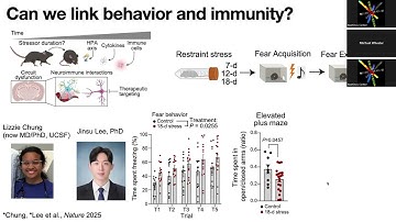 BrainMap: Psychedelic rewiring of neuroimmune circuits in psychiatric disorders- Dr. Michael Wheeler
