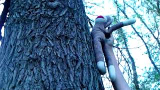 Sockmonkey advetures part 1