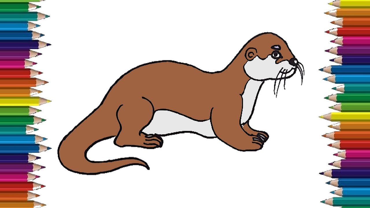 Featured image of post How To Draw A Otter Face Just extend your proportion lines across and you