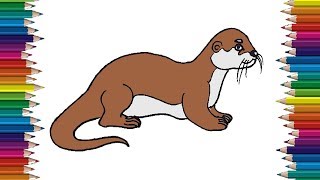 Featured image of post Simple Realistic Otter Drawing Draw two ovals for the sea otter s head and body and a line through the centre of its head