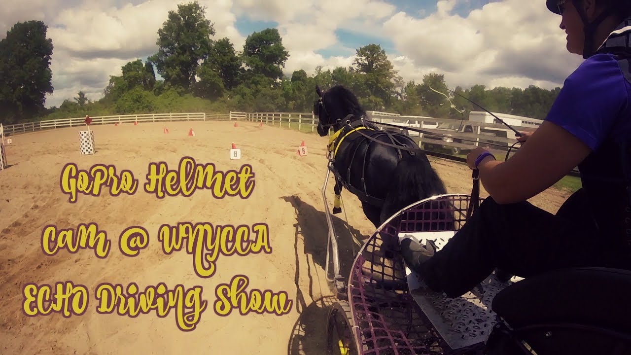 horseshoe bend GOPRO HELMET CAM @ WNYCCA ECHO DRIVING SHOW // Eastern Equestrian