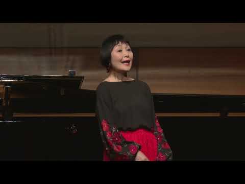 空に小鳥がいなくなった日