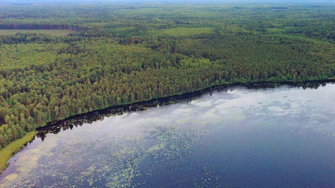 Заозерье вольво центр