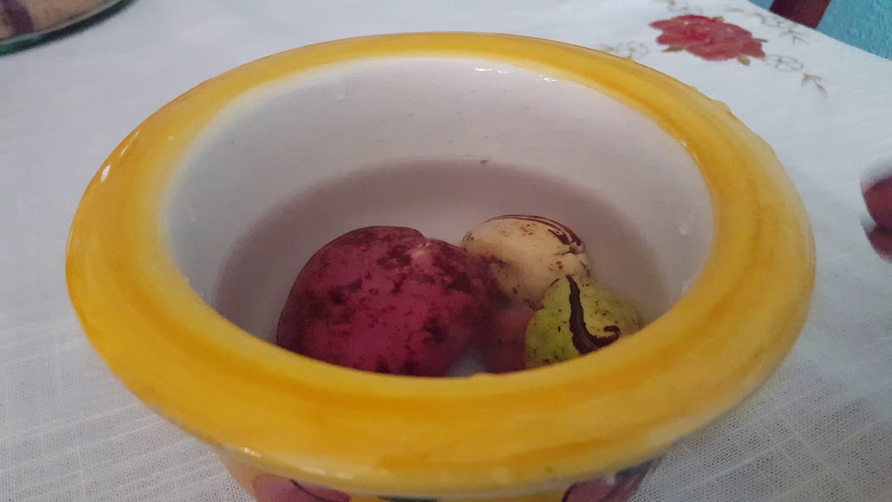 Obi fruto africano pode ser usado para dar paz e equilibrio nos estudos