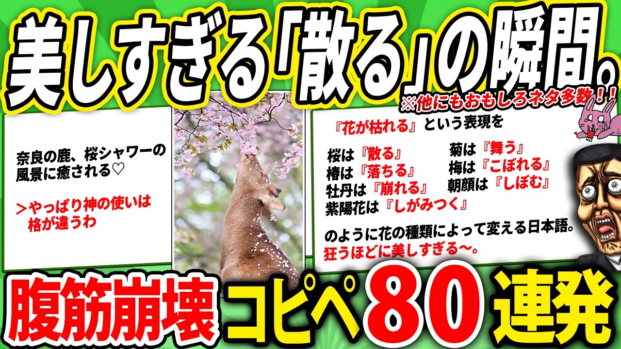 「散る」を知る。桜に魅せられた日本人たちが大集合した件
