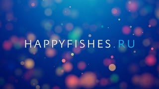 Видео для HappyFishes.ru