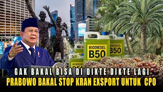 Cpo Prices Set To Soar Indonesias B50 Program Requires An Additional 25 Million Tons Of Cpo