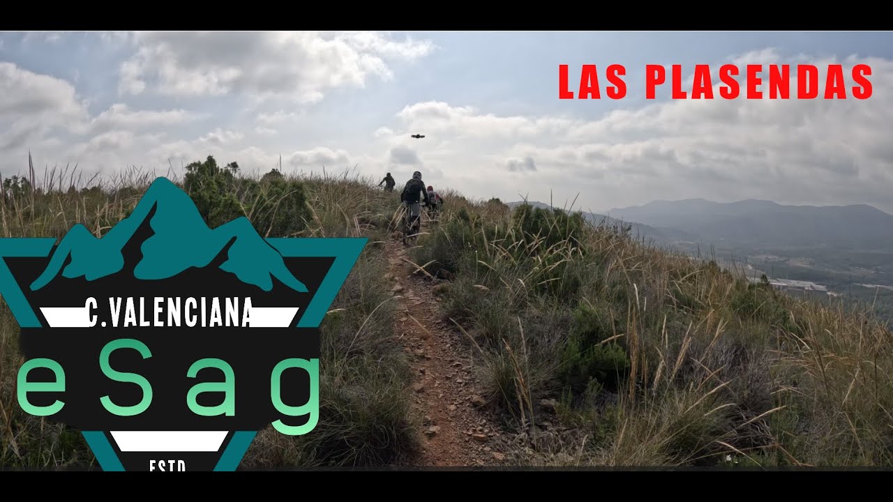 ALGIMIA DE ALFARA MAYO 2025 SAG OFICIAL