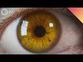 Understanding Eye Colors and Genetics