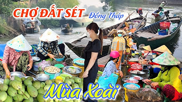 Mùa Xoài chín rộ giá rẻ như cho ở CHỢ ĐẤT SÉT, Lấp Vò - Bà con Đồng Tháp vui quá trời | OKDD
