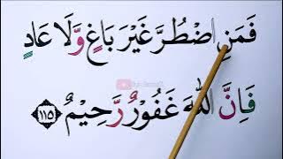 SPECIAL FOR ELDERLY WHO HAVE COMPLETED THE III STUDENTS LEARN TO READ SURAH AN NAHL 111-118 IN EX...