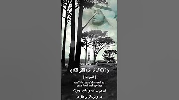 ايات قرانية من سورة القمر تريح القلب فدعا ربه اني مغلوبا فانتصر حالات واتساب