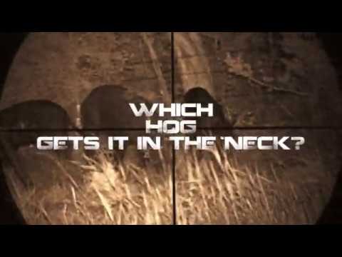 Which hog? - YouTube