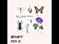 私の青春 そのものの名曲『風の中で』PSY · S