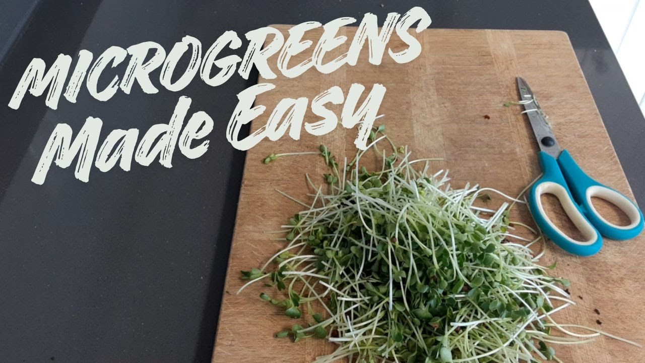 Microgreens Made Easy!
