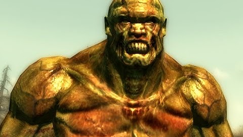 [Fallout 3] Uncle Leo Encounter