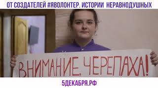 Волонтеры