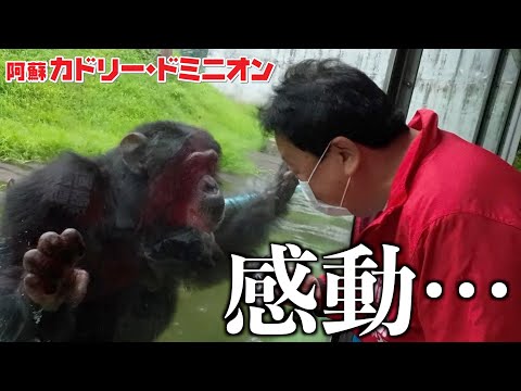 天才チンパンジー「パンくん」に動物園の社長が会いにいくと…その反応が泣ける。