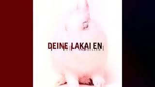 Deine Lakaien - Hands White (Mane Bianchi) (2001) [White Lies Album] - Dgthco