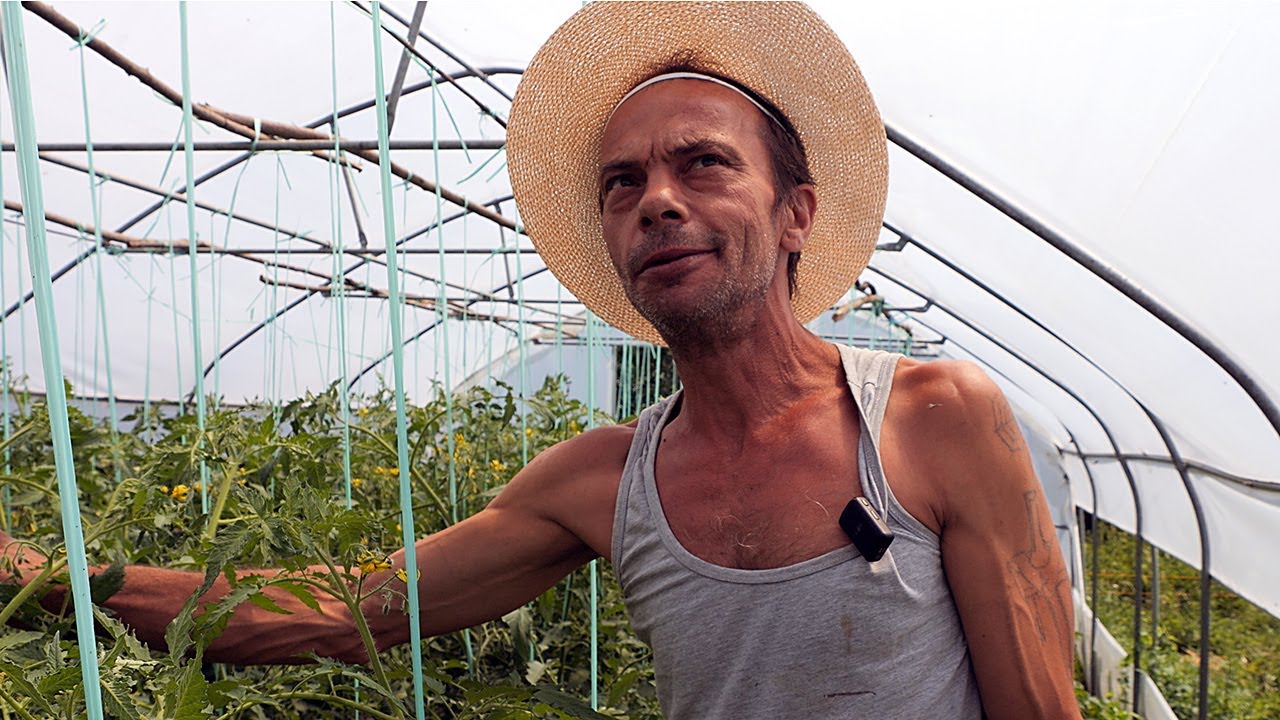 Dominko će ove sezone proizvesti tonu sira i tonu paradajza
