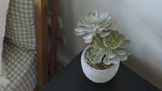 4 Leigh Crescent, Unanderra