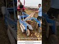 Potato Harvester in Action – A Delicate Dig for Clean Spuds 🥔🚜