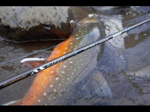 на что ловить сом рамдия оливковый в трофейной рыбалке