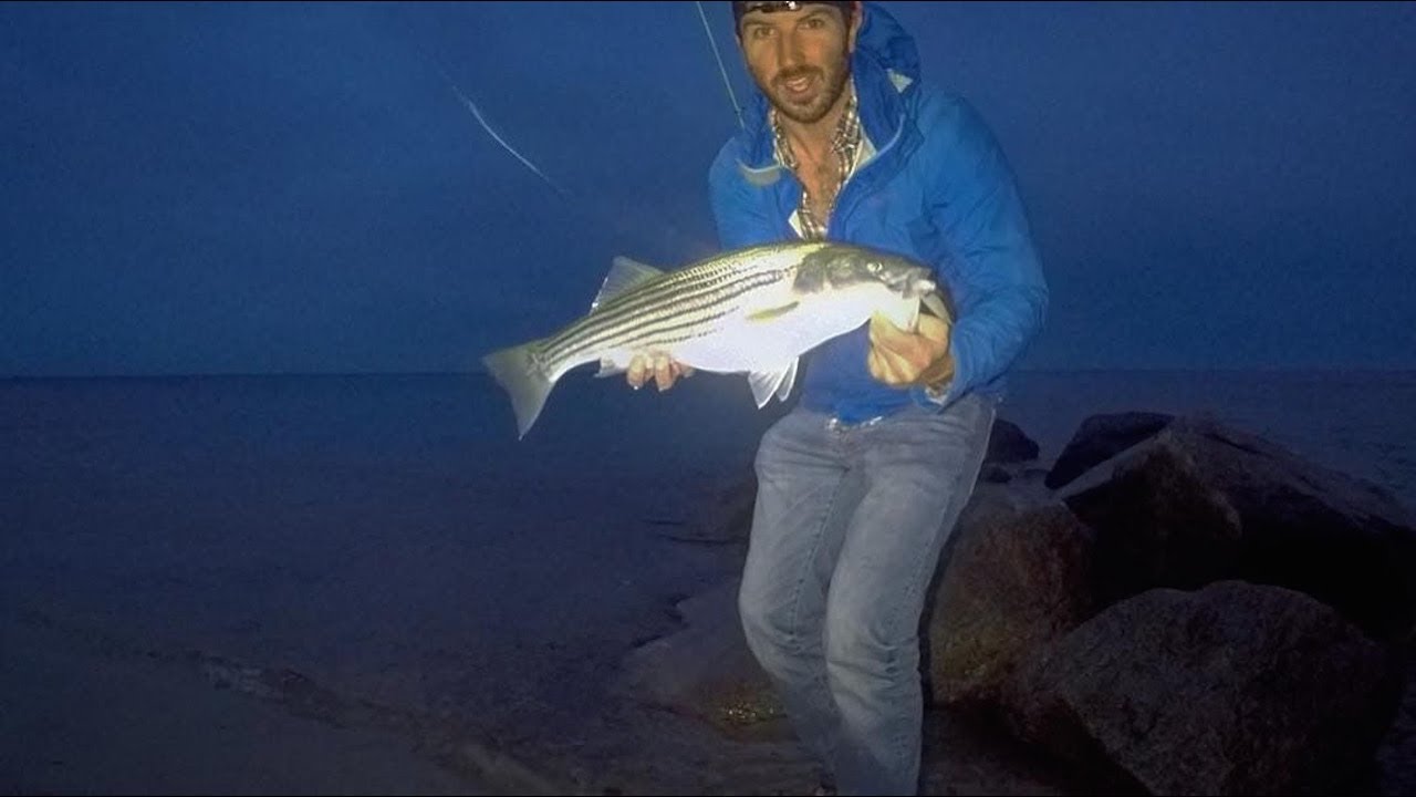 Catching Striped Bass On Cape Cod During November - YouTube