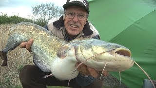 Fishing for Catfish - Bait, Rigs & Tips to Help You CATCH MORE FISH!!