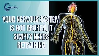 Why Talk Therapy Isn’t Enough for Trauma Recovery|Your Nervous System Needs Rewiring, Its Not Broken