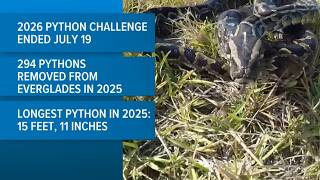 Annual Python Challenge numbers to be released on Wednesday