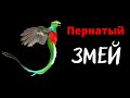 Сказочно красивая птица - божество у Ацтеков