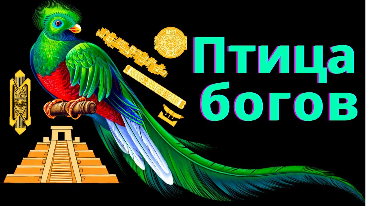 Сказочно красивая птица — божество АЦТЕКОВ 🛕 Кетцаль 🌈
