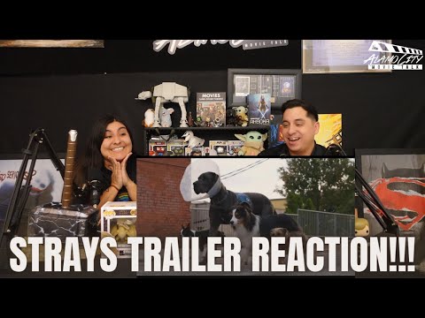 STRAYS (2023) – RED BAND TRAILER REACTION!!!