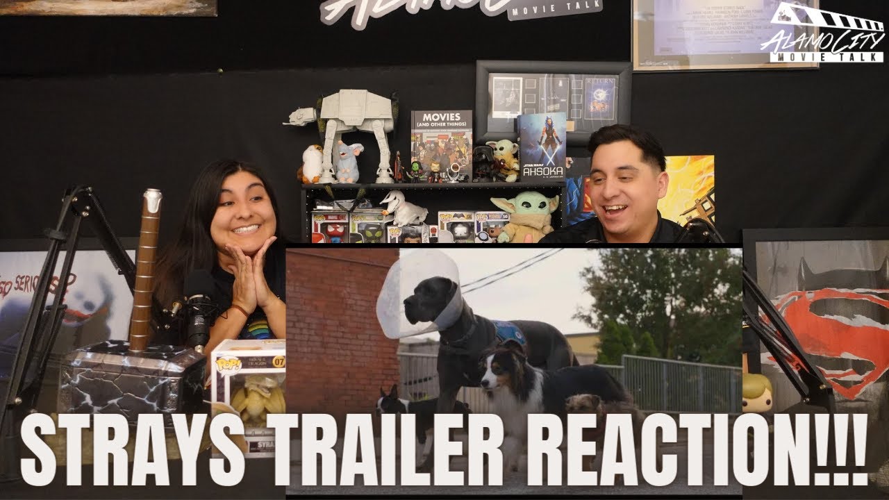STRAYS (2023) - RED BAND TRAILER REACTION!!!